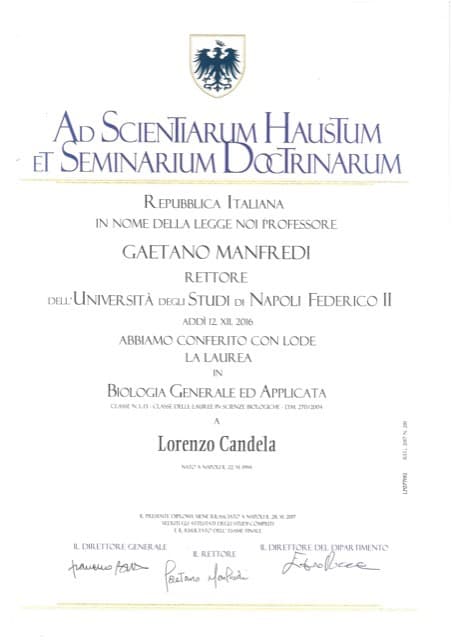Attestato: Laurea triennale